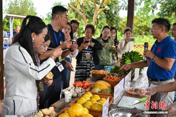 开源策略 会长话封关：“带来了前所未有的开放机遇和政策红利”